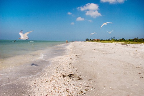 Sandy Beach