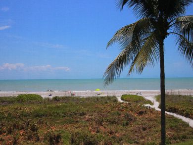 Beach View from Property