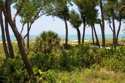 Captiva Island North Captiva Condo 8450 Captiva Island North Captiva Condo 8450
