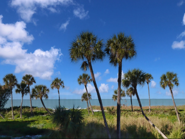 Captiva Beach Front Vacation Rental Sleeps Six Guests