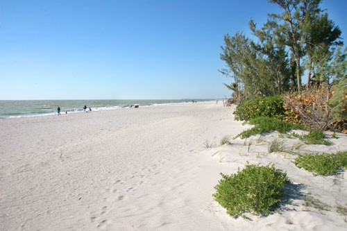 Sandy Beach in Captiva