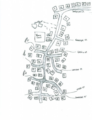 Complex Map