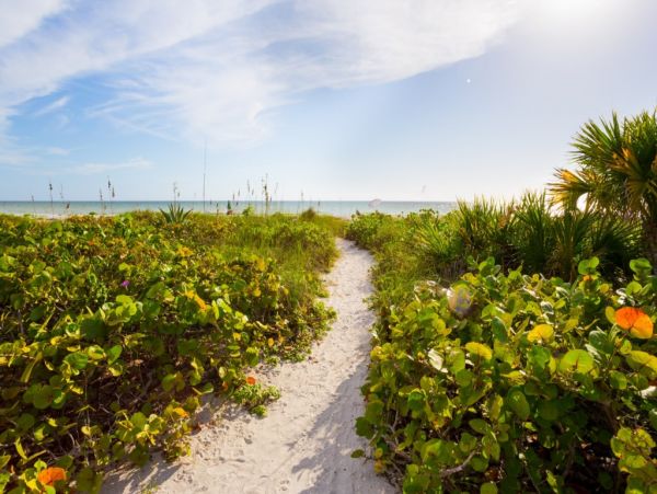 A True Walk Out to Sand Stunning Beach Cottage