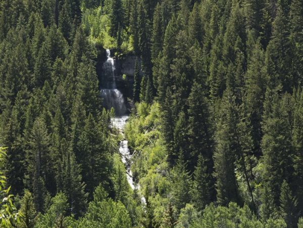 Vail & Lionshead Vacation Rental 4 Bedrooms Plus Loft