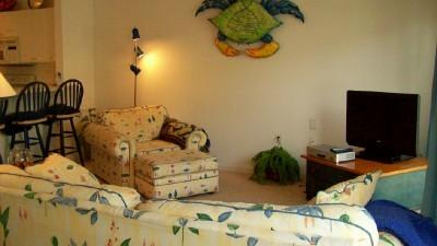 Living Area Living Area