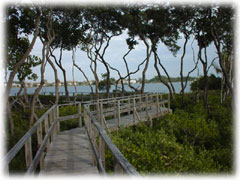 Walk-Way to the Bay Walk-Way to the Bay