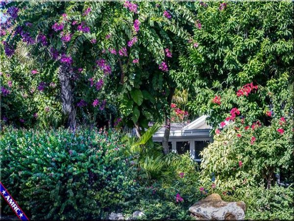 Three Bedroom Captiva Vacation Rental with Private Pool