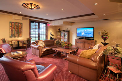 leather furniture, living room leather furniture, living room