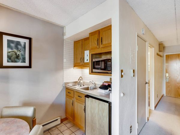 Lionshead One Bedroom Vacation Condo Sleeps 4 Walk to Lifts