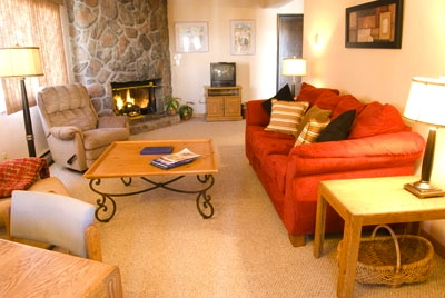 Living room with fireplace Living room with fireplace