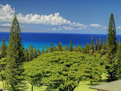 Kapalua Vacation Condo Sleeps Six Guests