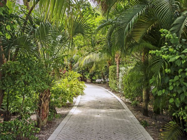 Charming Captiva Beachfront Cottage If You Love the Beach