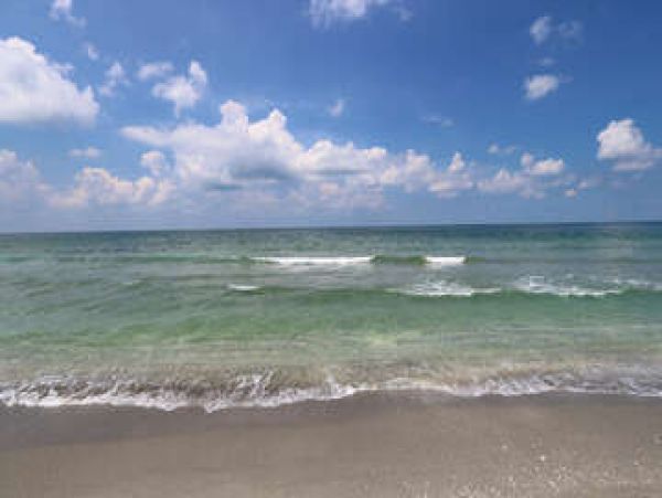Luxury Seven Bedroom Rental Home with Pool - Sleeps 14!