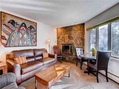 Lionshead Village Luxury 1 Bedroom Rental Condo Sleeps 4
