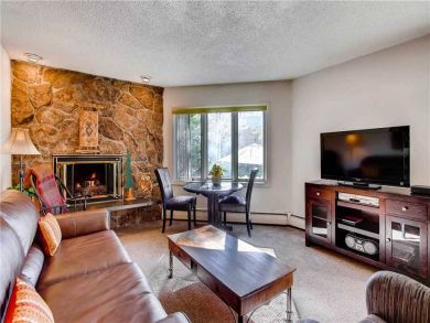 Lionshead Village Luxury 1 Bedroom Rental Condo Sleeps 4