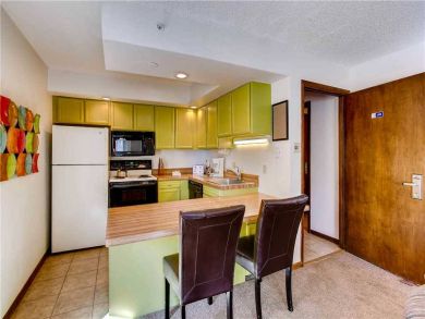 Lionshead Village Luxury 1 Bedroom Rental Condo Sleeps 4