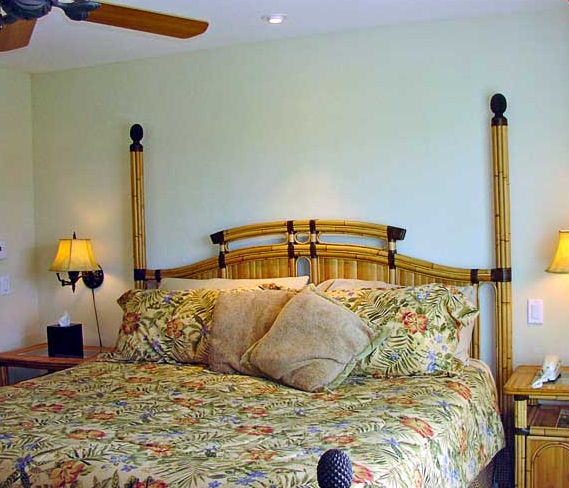 Guest bedroom with queen bed