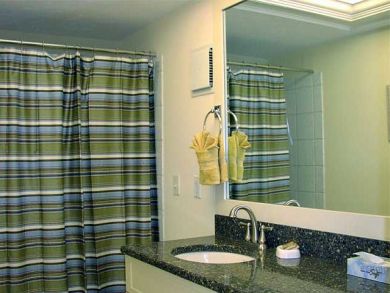 Master bathroom with jacuzzi tub Master bathroom with jacuzzi tub