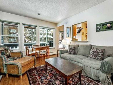 Great Views Vail Vacation Condo Sleeps Six Guests