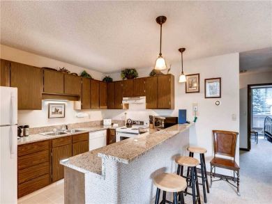 Kitchen with Breakfast Counter