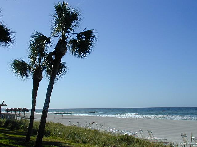Longboat Key Luxury Two Bedroom Beach Condo Sleeps 4 Guests