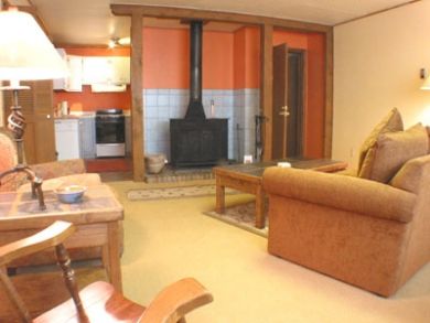 Living area with fireplace