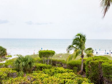 View from Balcony