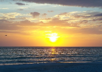 Two Bedroom Siesta Key Vacation Rental Sleeps 7