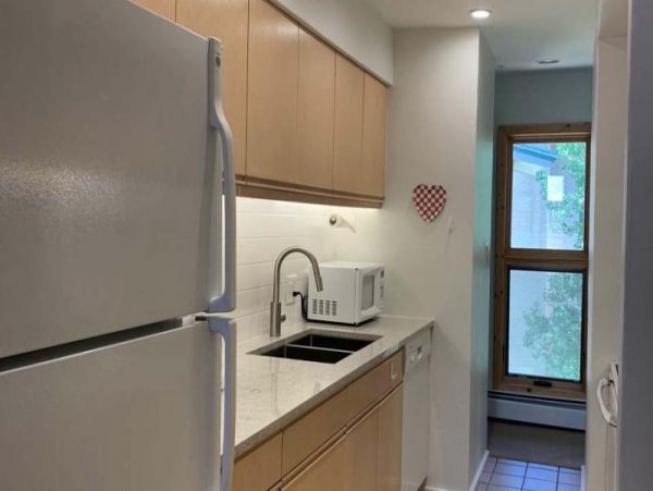 Vail Vacation Condo Sleeps Four Guests
