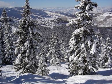 Great Value Three Bedroom Vail Condo Sleeps 8 Guests