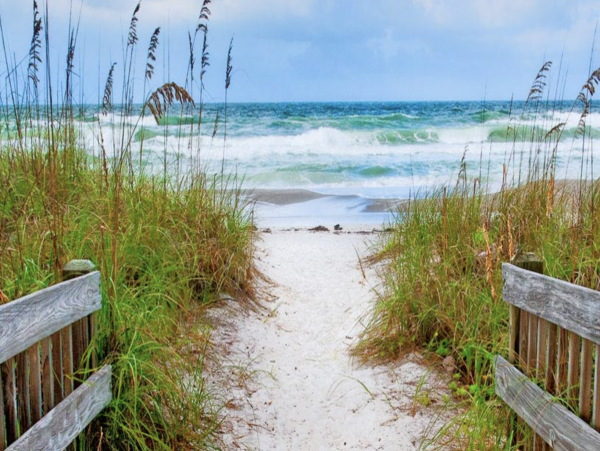 Six Bedroom Vacation Rentals on Anna Maria Island Sleeps 12