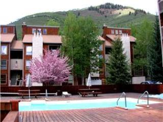 Vail rental studio with swimming pool Vail rental studio with swimming pool