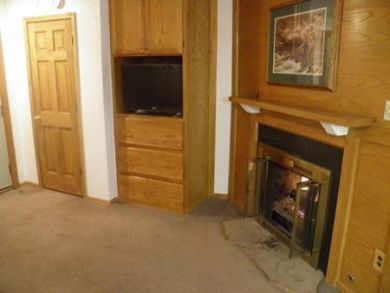 Fireplace & TV Fireplace & TV