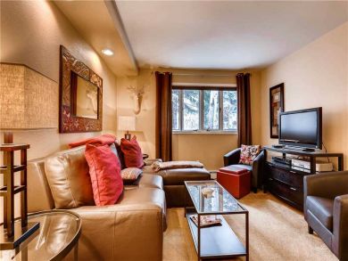 Vail One Bedroom Vacation Rental