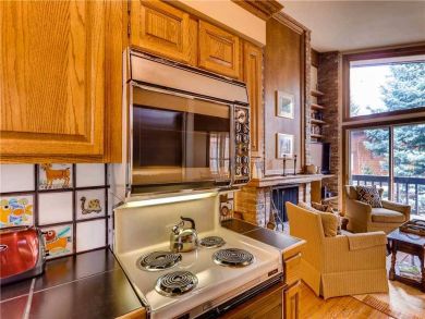 Two Bedroom Ski Condo Walk to the Ski School