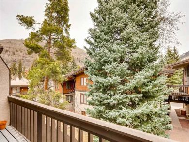 Two Bedroom Ski Condo Walk to the Ski School