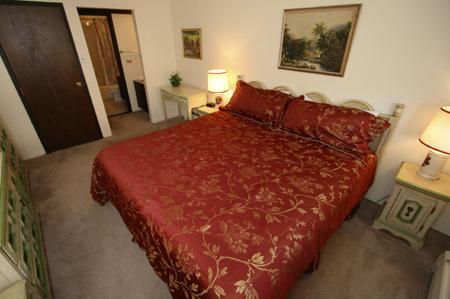 Master bedroom with king bed