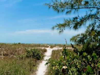 Beach Access