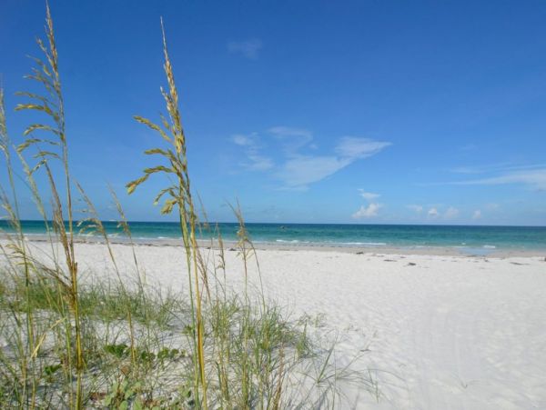 Siesta Key Vacation Townhome Private Pool Walk To Beach