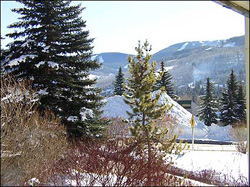 View of Mountain from Terrace