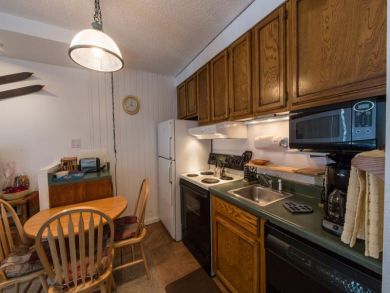 Vail Lionshead Condo 87808