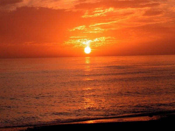 Siesta Key Vacation Rentals: Pool & Ocean Views