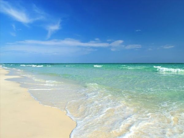 Siesta Key Vacation Condo Two Bedroom Walk to Beach