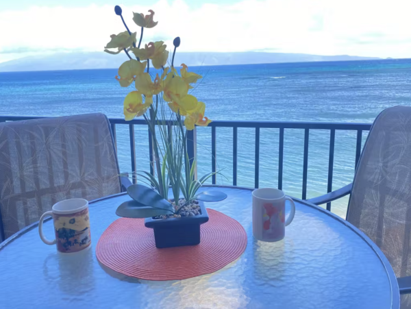 West Maui Rental Views, Views, Views