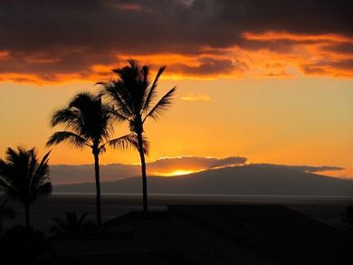 Wailea Condo 878367