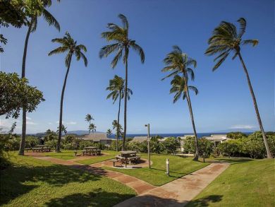 Wailea Condo 878367