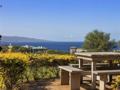Wailea Condo 878367