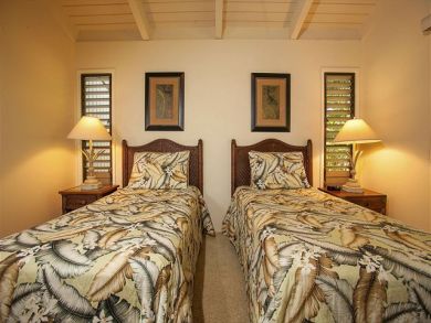 Wailea Condo 878367