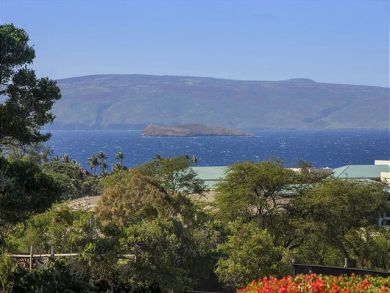 Wailea Condo 878367