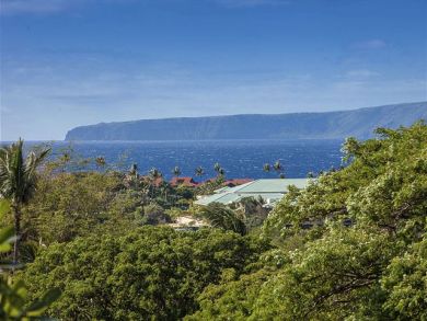 Wailea Condo 878367
